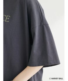 Green Parks Ｓｍｉｌｅｙ　Ｆａｃｅ／スマイル＋ロゴＢｉｇＴシャツ