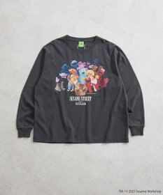Green Parks セサミストリートミーツフルーツオブザルーム　ロンＴＥＥ