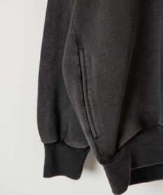 WEGO ピグメントハーフZIPロゴプルパーカー