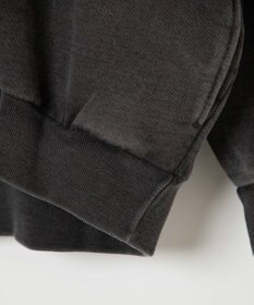 WEGO ピグメントハーフZIPロゴプルパーカー