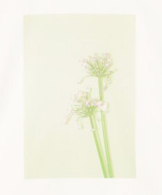 BEIGE， 【洗える・クロワッサン 掲載】PENTAS / オリジナルフォトプリントＴシャツ