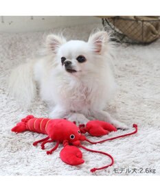 PET PARADISE ペットパラダイス おもちゃトイ 伊勢えび