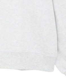 AMERICAN HOLIC カレッジロゴ裏起毛プルオーバー