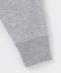 PW CIRCULUS 【MEN】【洗える】ベアスタンドモチーフ ラグランスリーブ クルーネック ニット