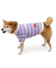 PET PARADISE スヌーピー ラガーシャツ 中型犬 大型犬