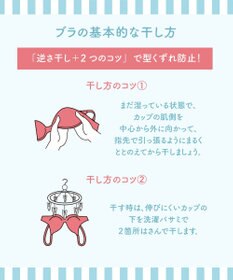 WACOAL ランジェリーウォッシュ 下着専用中性洗剤 手洗い用 下着の素材を傷めにくい 無リン 無着色 ユニセックス ZRA201 /ワコール