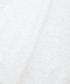 AMERICAN HOLIC カレッジロゴ裏起毛プルオーバー