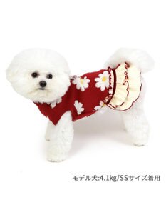 PET PARADISE ディズニー ミニー ニットスカート《花柄》小型犬