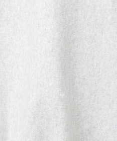 AMERICAN HOLIC ＮＥＢＲＡＳＫＡロゴプリントスウェット②