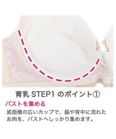 BRADELIS New York 【BRADELIS New York / 育乳補整ブラ・STEP1 集める】ウェンディステップ1ブラ24S2