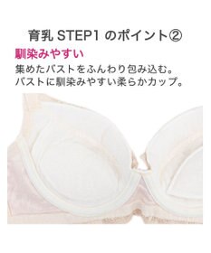 BRADELIS New York 【BRADELIS New York / 育乳補整ブラ・STEP1 集める】ウェンディステップ1ブラ24S2