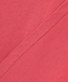 ANY POLO BCS別注 プルオーバー