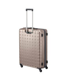 ACE BAGS & LUGGAGE Proteca 360G4 メタリック2 スーツケース 100L Lサイズ 08604 プロテカ