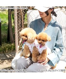 PET PARADISE ペットパラダイス タッチワンクールプラス Tシャツ 《いちご》 小型犬