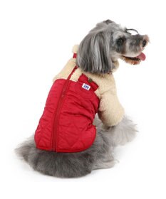 PET PARADISE Lee 綿入キルトベスト 小型犬