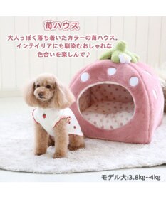 PET PARADISE ペットパラダイスくすみ苺  ハウス L  (45×45×46cm) 小型犬