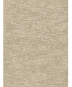 Te chichi スラブ天竺プルオーバー