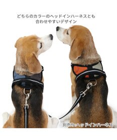 PET PARADISE 両面反射リード ブラック120cm【ＳＭ】