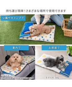 PET PARADISE ディズニー ドナルドダック クールロールマット