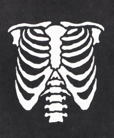 WEGO 【ユニセックス着用ITEM】ブリーチボーングラフィックT（SS）