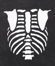 WEGO 【ユニセックス着用ITEM】ブリーチボーングラフィックT（SS）