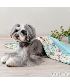 PET PARADISE スヌーピー クールケット 《アイス柄》