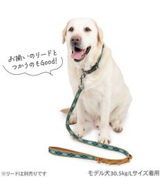 PET PARADISE ペットパラダイス チェック柄 首輪 Ｌ 大型犬