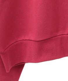 Green Parks ミッキー＆フレンズ／半起毛裏毛プルオーバー