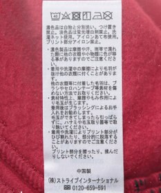 Green Parks ミッキー＆フレンズ／半起毛裏毛プルオーバー