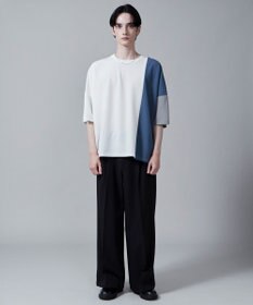 WEGO カラーブロックT（S）