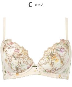 WACOAL ブラジャー 着やせシルエット 脇から背中のラインすっきり Gカップまで対応 大きいサイズ レディース BXC405 /ワコール
