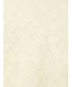 Te chichi 起毛レースニットプルオーバー（セットアップ可）《2025winter catalog item》