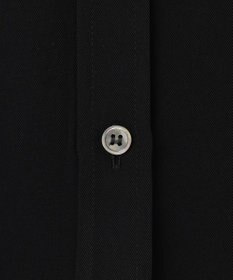 BEIGE， 【WEB限定・洗える】CELOSIA / シアースリーブスタンドカラーブラウス