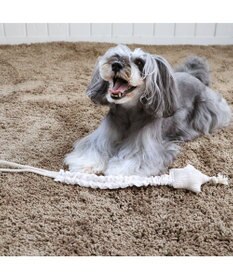 PET PARADISE ペットパラダイス 引っ張り トイ 《雲/星》