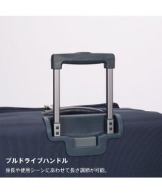 ACE BAGS & LUGGAGE Proteca マックスパスソフト4 ソフトケース 42L 機内持込 12112 プロテカ 日本製