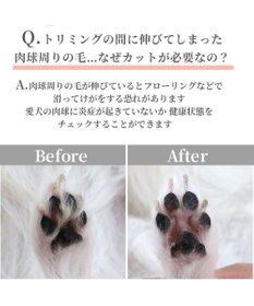 PET PARADISE ペットパラダイス コードレス ミニバリカン USB充電式