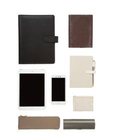 ACE BAGS & LUGGAGE HAyU × ace. フィカス ショルダーバッグ 19102 ハユ