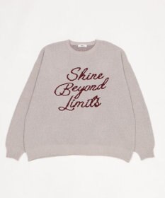 WEGO 【ユニセックス着用ITEM】ベロアモールグラフィックプルオーバー