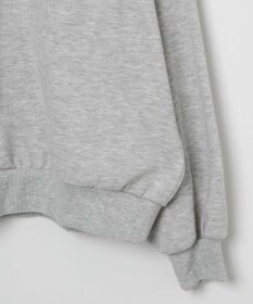 WEGO ハーフジップBIGスウェット