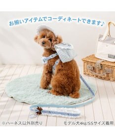 PET PARADISE ディズニー アリス リュックハーネス ３Ｓ