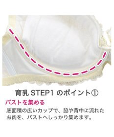 BRADELIS New York 【BRADELIS New York / 育乳補整ブラ・STEP1 集める】ジャスミンステップ1ブラ24S3