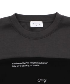 WEGO ポンチカラーパネルT（SS）