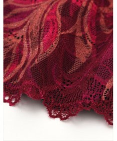 WACOAL MEN WACOAL MEN 【レースブリーフ】 Tバック ブリーフ 裏打ち付き(前身頃) 前閉じ レース 下着 メンズ WF1826 /ワコールメン