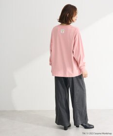 Green Parks セサミストリートミーツフルーツオブザルーム　ロンＴＥＥ