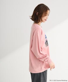 Green Parks セサミストリートミーツフルーツオブザルーム　ロンＴＥＥ