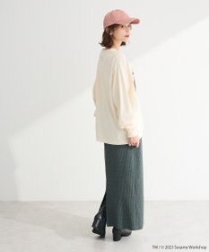 Green Parks セサミストリートミーツフルーツオブザルーム　ロンＴＥＥ