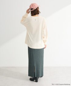 Green Parks セサミストリートミーツフルーツオブザルーム　ロンＴＥＥ