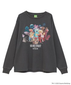 Green Parks セサミストリートミーツフルーツオブザルーム　ロンＴＥＥ