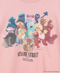 Green Parks セサミストリートミーツフルーツオブザルーム　ロンＴＥＥ