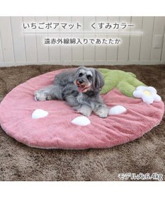 PET PARADISE  ネット店限定 くすみ苺 マット (105×107㎝用)